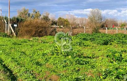 edirne kırkağaç yol kenarı 4.700 m2 tarla