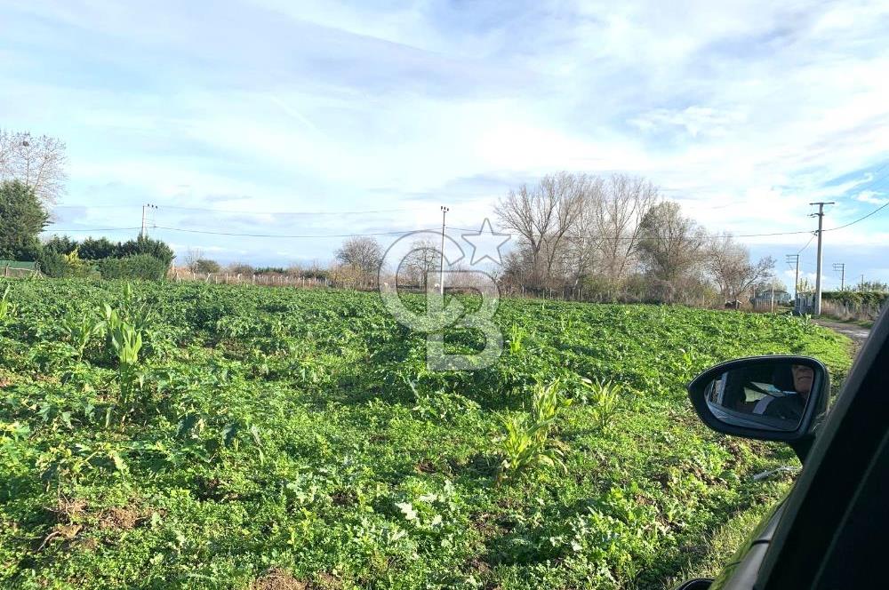 edirne kırkağaç yol kenarı 4.700 m2 tarla