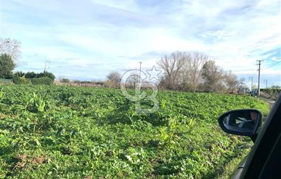 edirne kırkağaç yol kenarı 4.700 m2 tarla