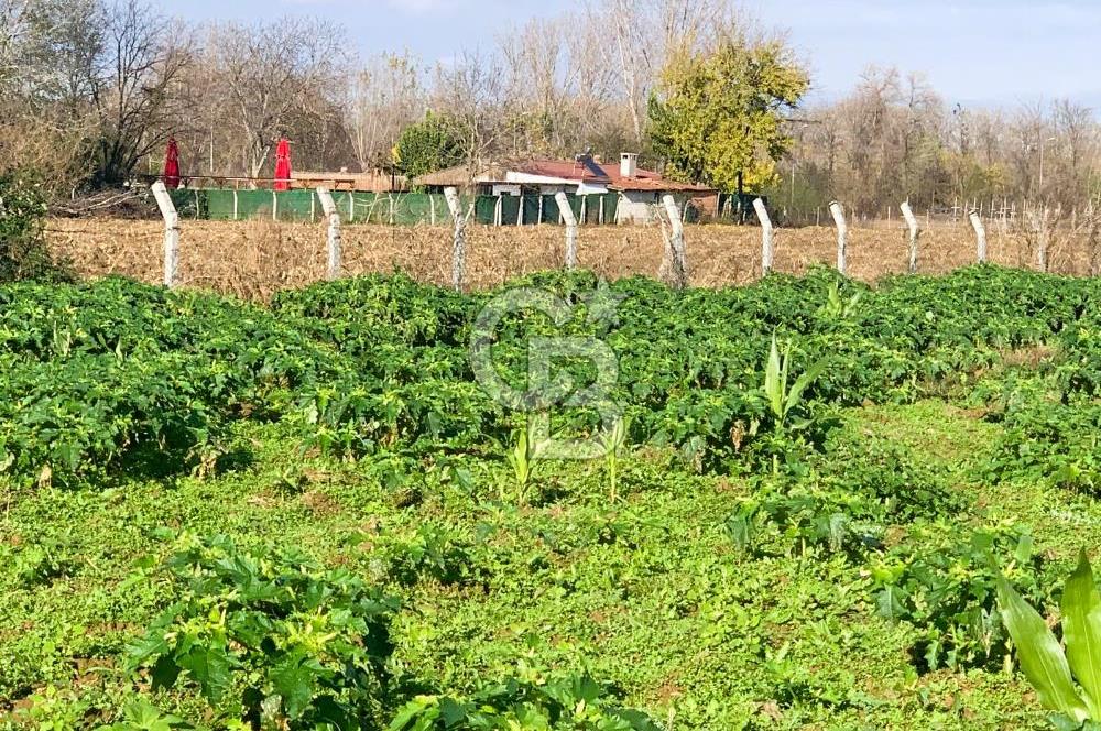 edirne kırkağaç yol kenarı 4.700 m2 tarla