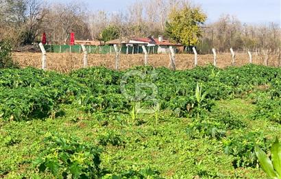 edirne kırkağaç yol kenarı 4.700 m2 tarla