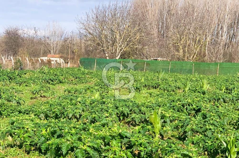 edirne kırkağaç yol kenarı 4.700 m2 tarla