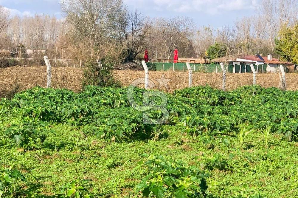 edirne kırkağaç yol kenarı 4.700 m2 tarla