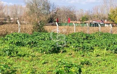 edirne kırkağaç yol kenarı 4.700 m2 tarla