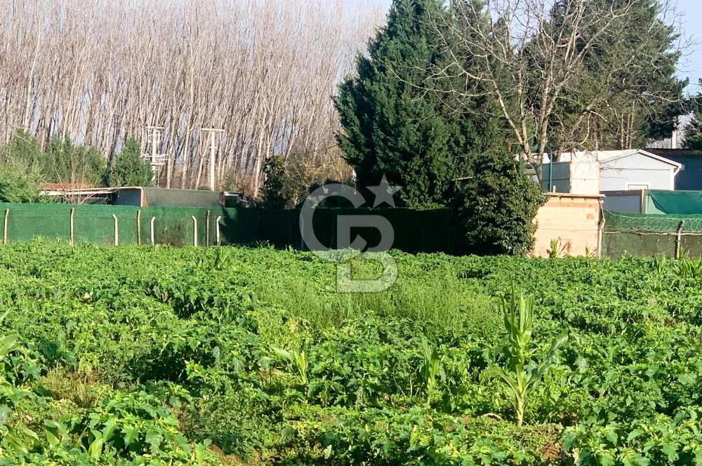 edirne kırkağaç yol kenarı 4.700 m2 tarla