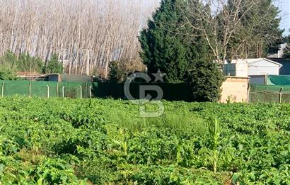edirne kırkağaç yol kenarı 4.700 m2 tarla
