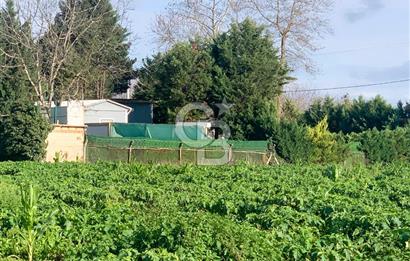 edirne kırkağaç yol kenarı 4.700 m2 tarla