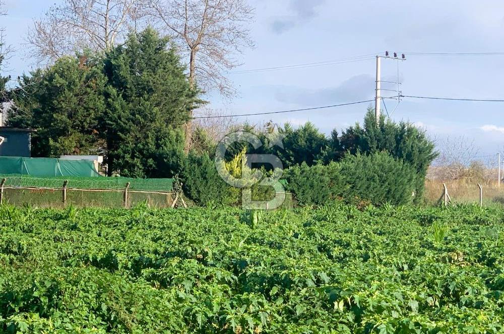 edirne kırkağaç yol kenarı 4.700 m2 tarla
