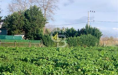 edirne kırkağaç yol kenarı 4.700 m2 tarla