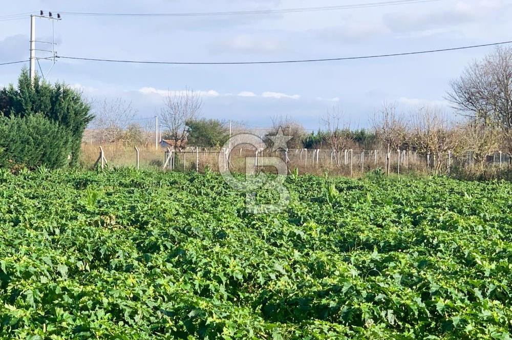 edirne kırkağaç yol kenarı 4.700 m2 tarla