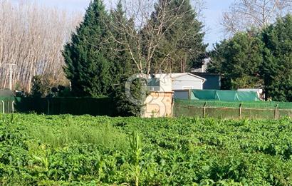 edirne kırkağaç yol kenarı 4.700 m2 tarla