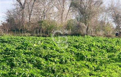 edirne kırkağaç yol kenarı 4.700 m2 tarla