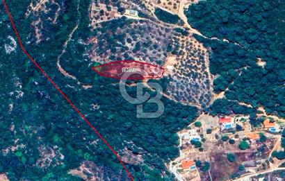 Muğla Menteşe Kuyucak'ta Yolu Olan Emsalsiz Deniz Manzaralı Tarla