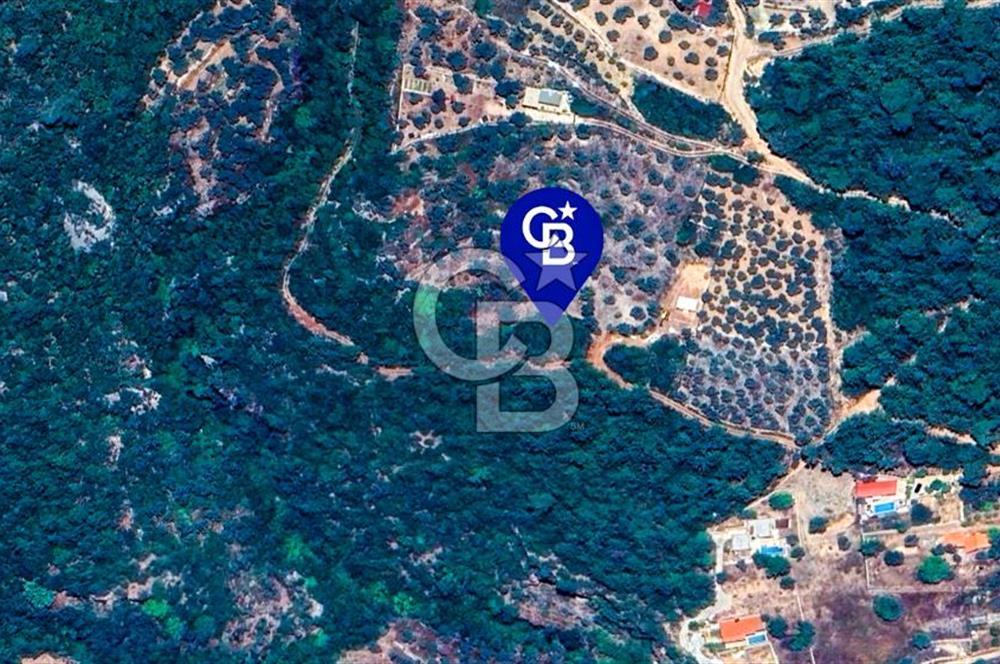 Muğla Menteşe Kuyucak'ta Yolu Olan Emsalsiz Deniz Manzaralı Tarla