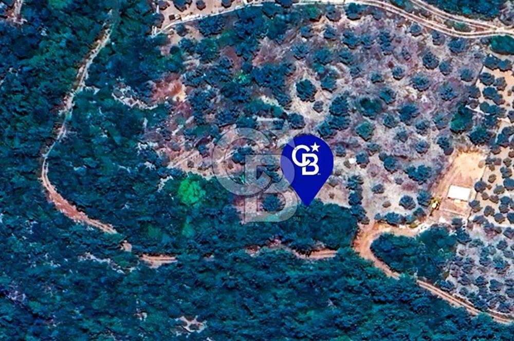 Muğla Menteşe Kuyucak'ta Yolu Olan Emsalsiz Deniz Manzaralı Tarla