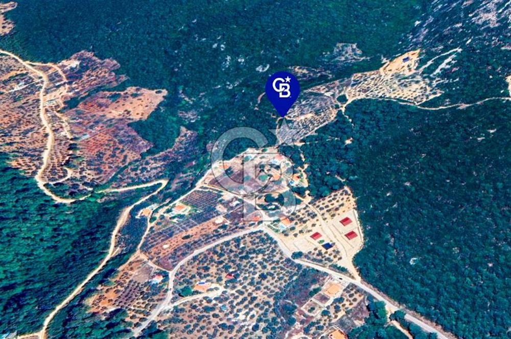 Muğla Menteşe Kuyucak'ta Yolu Olan Emsalsiz Deniz Manzaralı Tarla