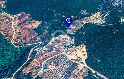 Muğla Menteşe Kuyucak'ta Yolu Olan Emsalsiz Deniz Manzaralı Tarla