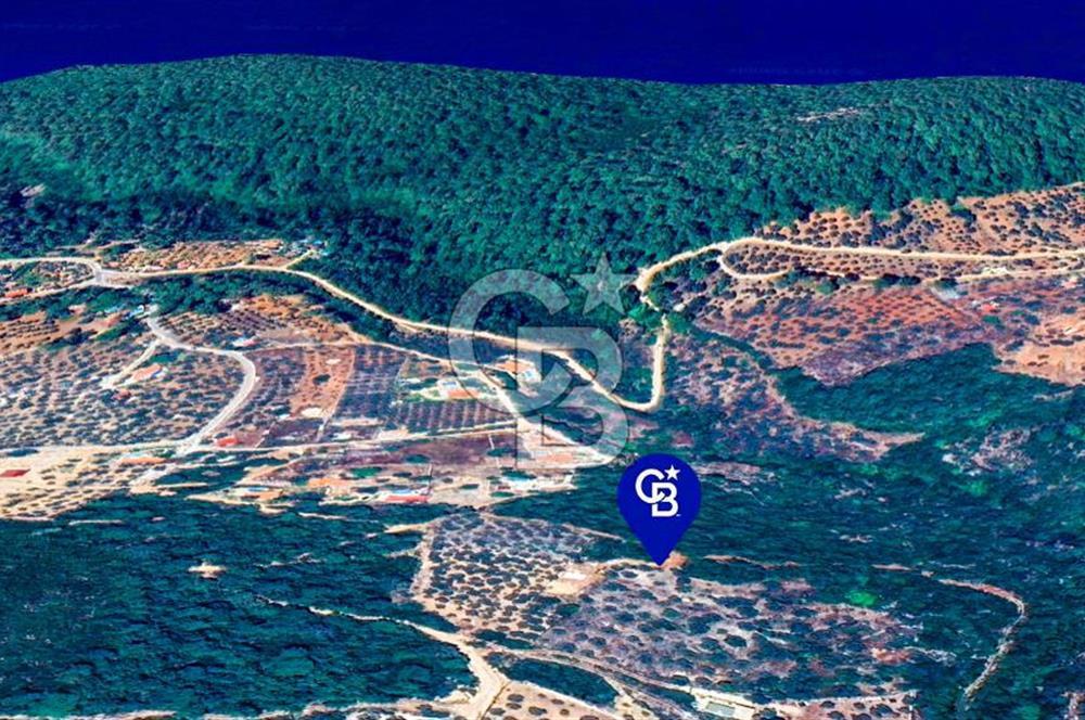 Muğla Menteşe Kuyucak'ta Yolu Olan Emsalsiz Deniz Manzaralı Tarla