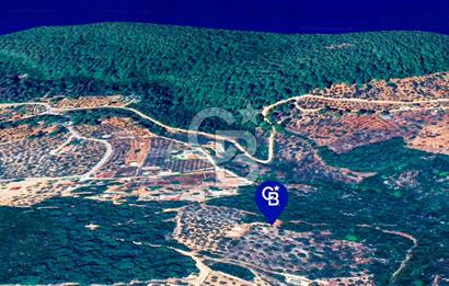 Muğla Menteşe Kuyucak'ta Yolu Olan Emsalsiz Deniz Manzaralı Tarla