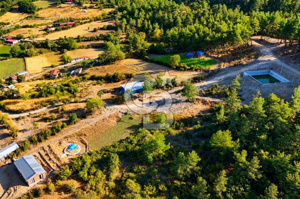 YENİCE AŞAĞIÇAVUŞ KÖYÜNDE 2.071 M² KÖY İÇİ İMARLI SATILIK ARSA