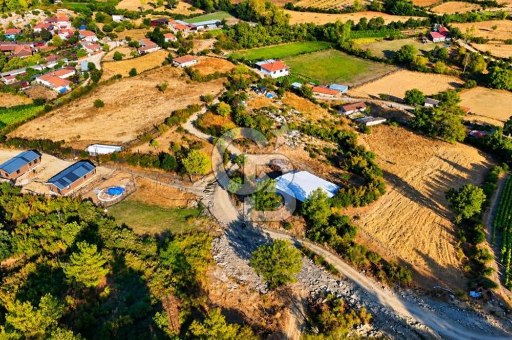 YENİCE AŞAĞIÇAVUŞ KÖYÜNDE 2.071 M² KÖY İÇİ İMARLI SATILIK ARSA
