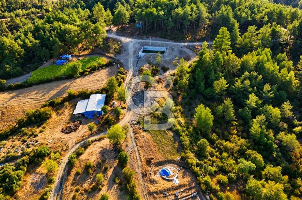 YENİCE AŞAĞIÇAVUŞ KÖYÜNDE 2.071 M² KÖY İÇİ İMARLI SATILIK ARSA