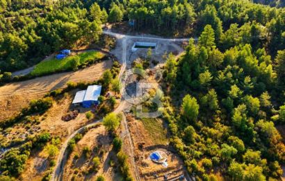 YENİCE AŞAĞIÇAVUŞ KÖYÜNDE 2.071 M² KÖY İÇİ İMARLI SATILIK ARSA
