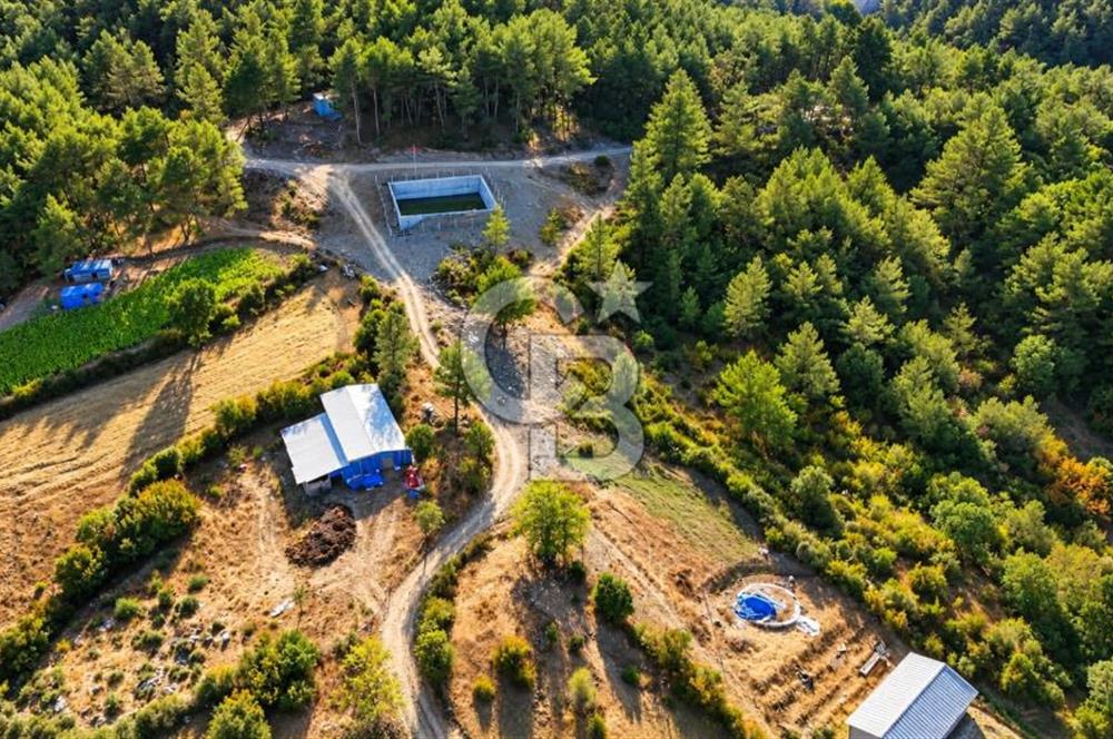 YENİCE AŞAĞIÇAVUŞ KÖYÜNDE 2.071 M² KÖY İÇİ İMARLI SATILIK ARSA