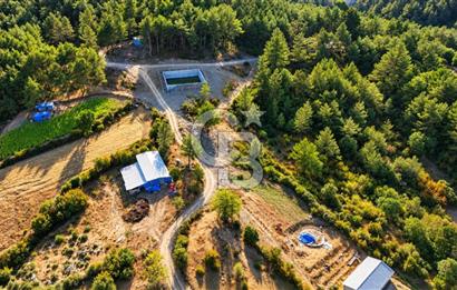 YENİCE AŞAĞIÇAVUŞ KÖYÜNDE 2.071 M² KÖY İÇİ İMARLI SATILIK ARSA