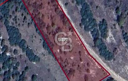 Kocaeli Derince Terziler mah satılık 7 dönüm fırsat arazi tarla