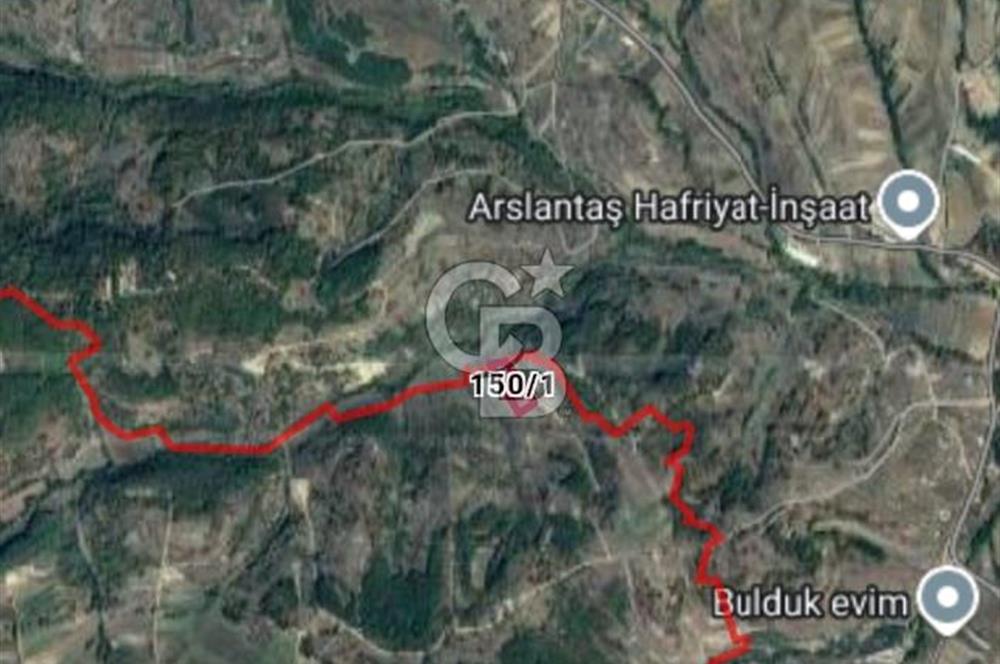 Kocaeli Derince Terziler mah satılık 7 dönüm fırsat arazi tarla