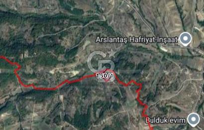 Kocaeli Derince Terziler mah satılık 7 dönüm fırsat arazi tarla