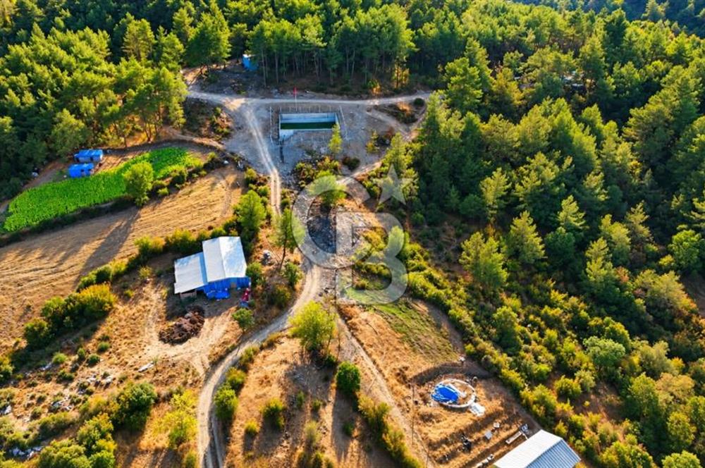 YENİCE AŞAĞIÇAVUŞ KÖYÜNDE 2.071 M² KÖY İÇİ İMARLI SATILIK ARSA