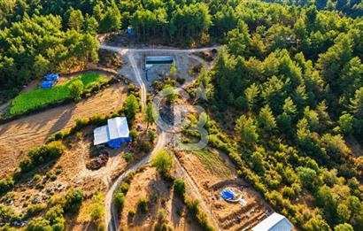 YENİCE AŞAĞIÇAVUŞ KÖYÜNDE 2.071 M² KÖY İÇİ İMARLI SATILIK ARSA