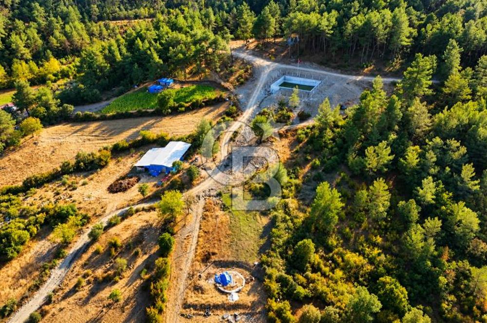 YENİCE AŞAĞIÇAVUŞ KÖYÜNDE 2.071 M² KÖY İÇİ İMARLI SATILIK ARSA