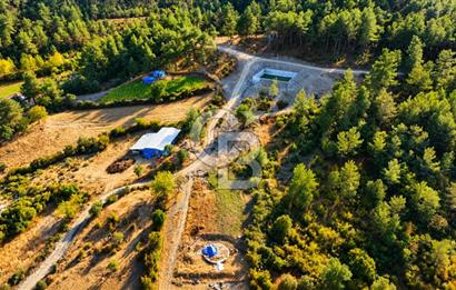 YENİCE AŞAĞIÇAVUŞ KÖYÜNDE 2.071 M² KÖY İÇİ İMARLI SATILIK ARSA