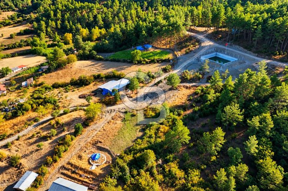 YENİCE AŞAĞIÇAVUŞ KÖYÜNDE 2.071 M² KÖY İÇİ İMARLI SATILIK ARSA
