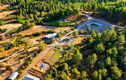 YENİCE AŞAĞIÇAVUŞ KÖYÜNDE 2.071 M² KÖY İÇİ İMARLI SATILIK ARSA