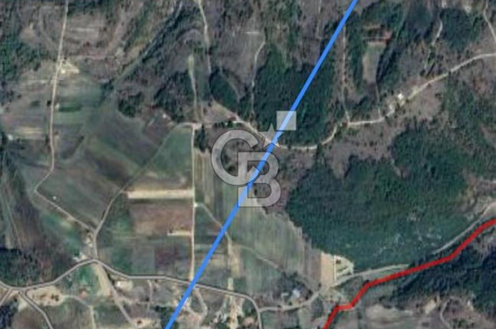 Kocaeli Derince Terziler mah satılık 7 dönüm fırsat arazi tarla