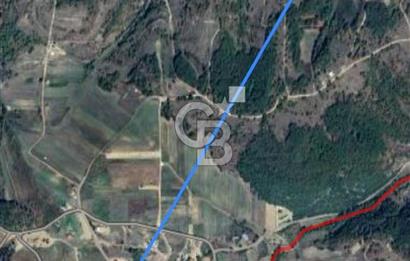Kocaeli Derince Terziler mah satılık 7 dönüm fırsat arazi tarla