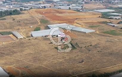 AKSU MURTUNUDA SATILIK NATAMAM MÜSTAKİL EV