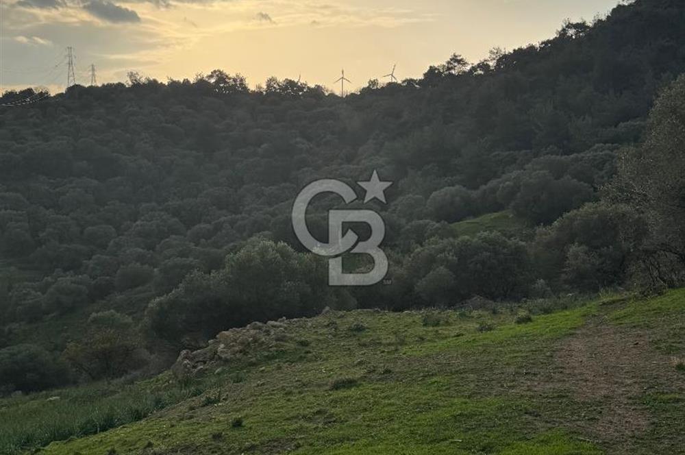 Yeni Foça Cumhuriyet Mahallesi Deniz Manzaralı Arsa