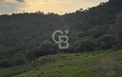 Yeni Foça Cumhuriyet Mahallesi Deniz Manzaralı Arsa