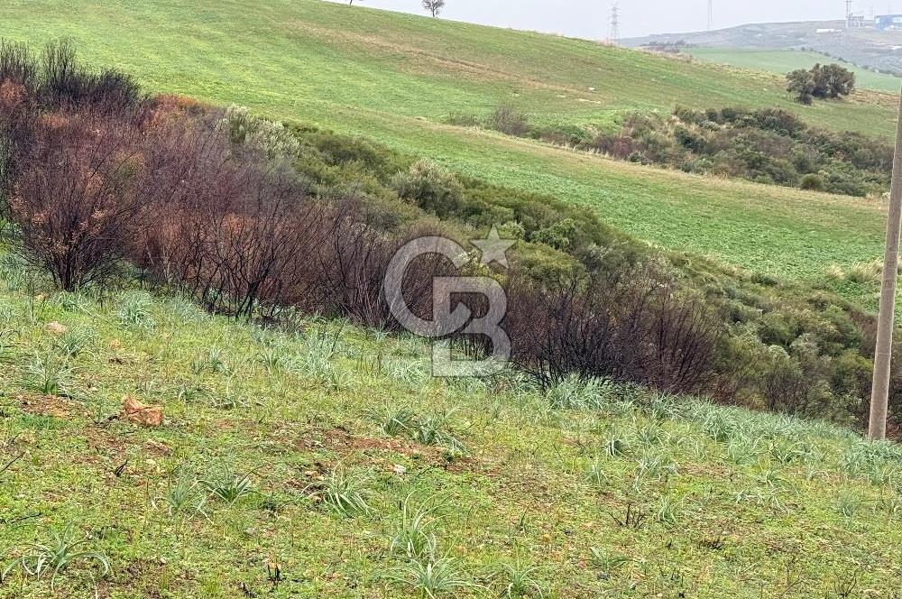 Yeni Foça Cumhuriyet Mahallesi Deniz Manzaralı Arsa