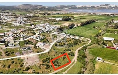 Bodrum - Milas Ana Yolu Yakını Meşelik Satılık Arsa