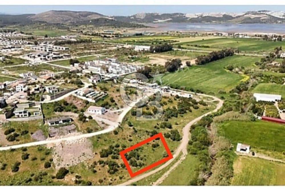 Bodrum - Milas Ana Yolu Yakını Meşelik Satılık Arsa