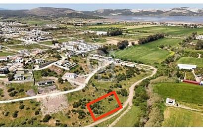 Bodrum - Milas Ana Yolu Yakını Meşelik Satılık Arsa