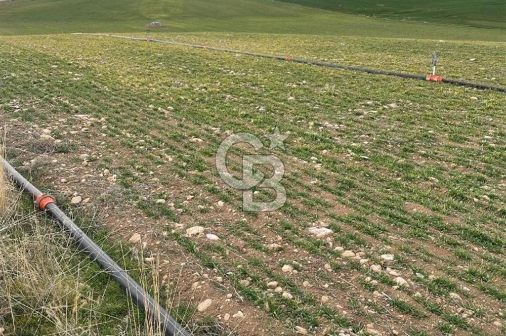 GÜMÜŞYAKA' DA TEK TAPU SULAMA KANALI YAKINI TARLA 25.327M2