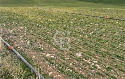 GÜMÜŞYAKA' DA TEK TAPU SULAMA KANALI YAKINI TARLA 25.327M2