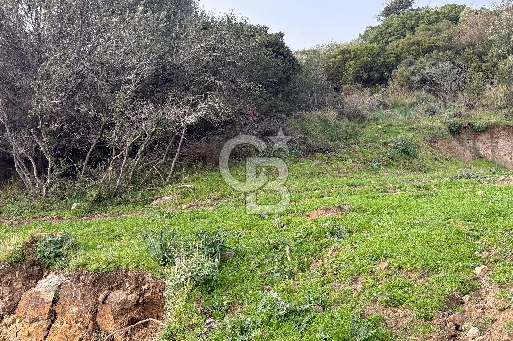 Foça YeniFoça Cumhuriyet mahallesi deniz manzaralı arsa